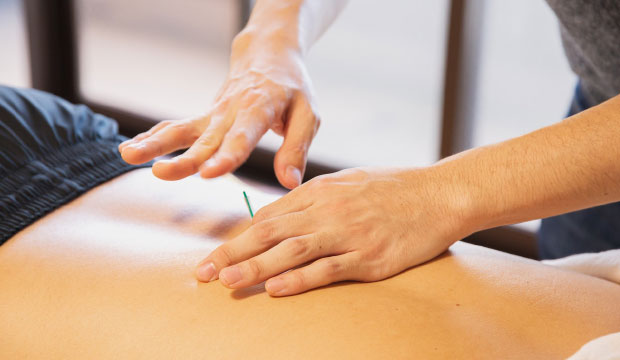 L'Ordre des acupuncteurs du Québec