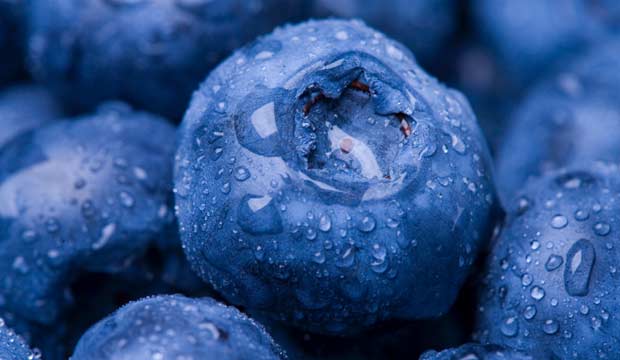 Des aliments pour renforcer son système immunitaire