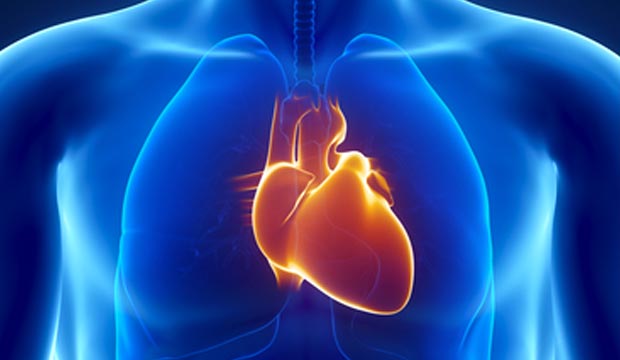 Les troubles du rythme cardiaque (arythmies)