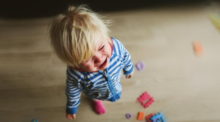 Comment survivre au « Terrible Two »