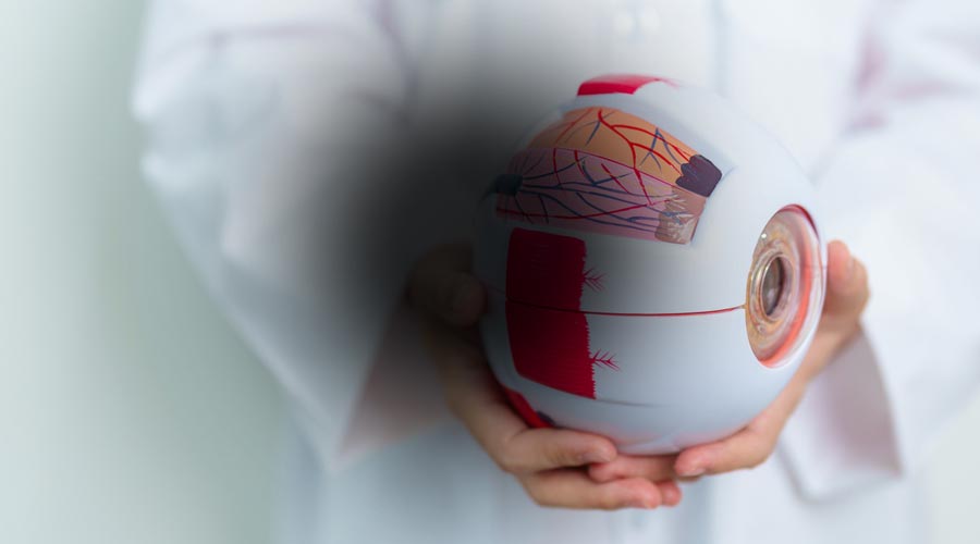 Dégénérescence maculaire : comprendre, traiter et prévenir cette atteinte de la vision