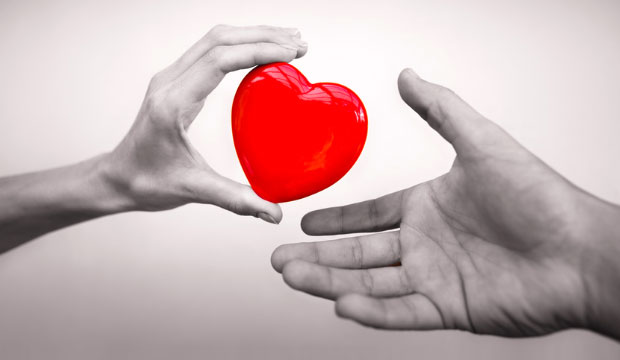 Le consentement au don d'organes et de tissus