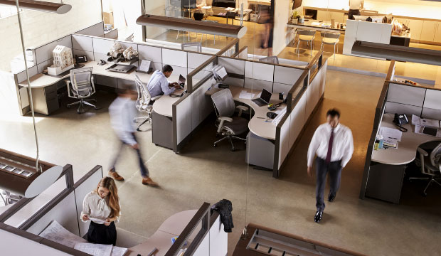 L'ergothérapie au service des entreprises