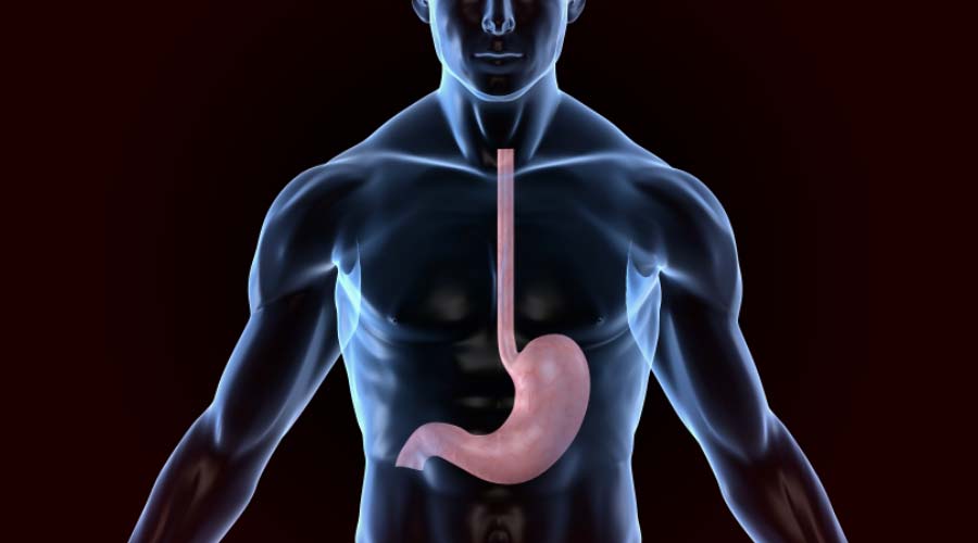 Acidité gastrique : aliments à éviter et conseils pour une meilleure digestion
