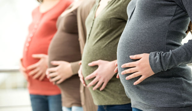 Le suivi Olo, une aide directe aux femmes enceintes dans le besoin