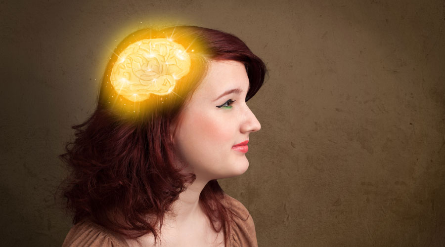Le fonctionnement du cerveau