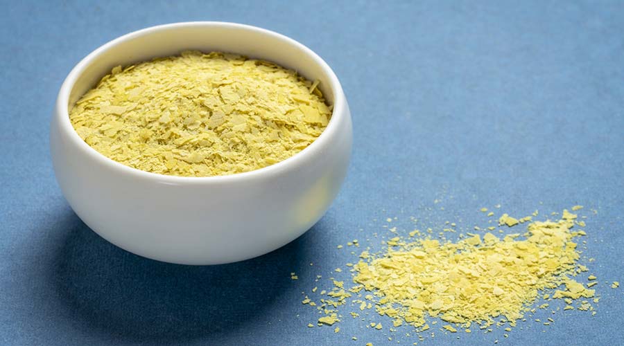 La levure alimentaire : un trésor nutritionnel méconnu