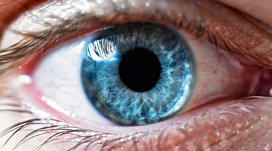 L'iridologie, observation de l'iris