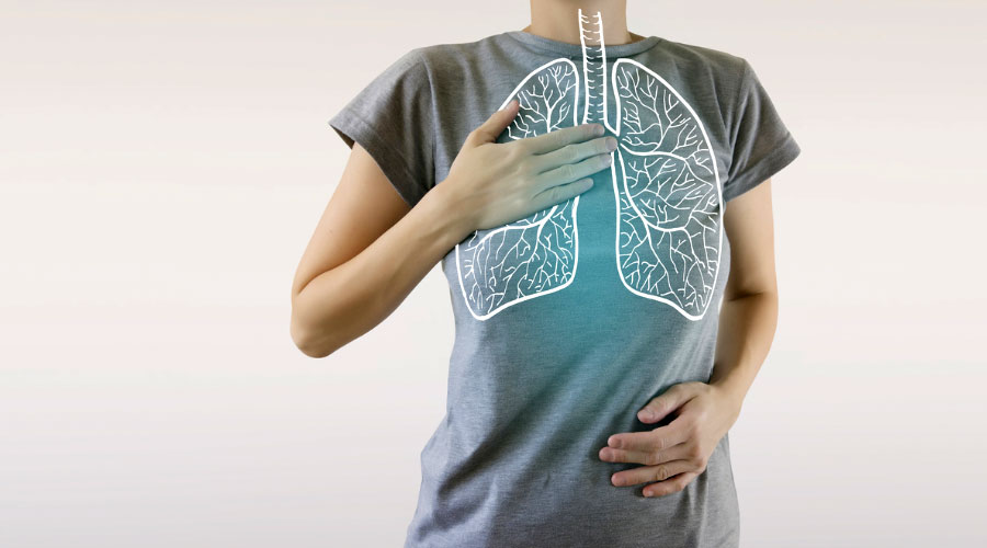 Le système respiratoire