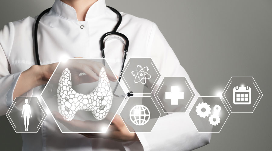 Le système endocrinien