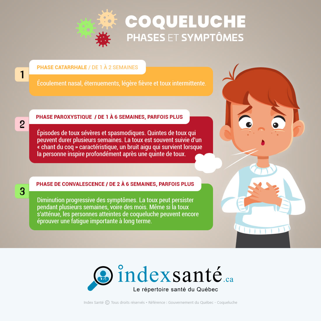 Coqueluche : phases et symptômes (infographie)