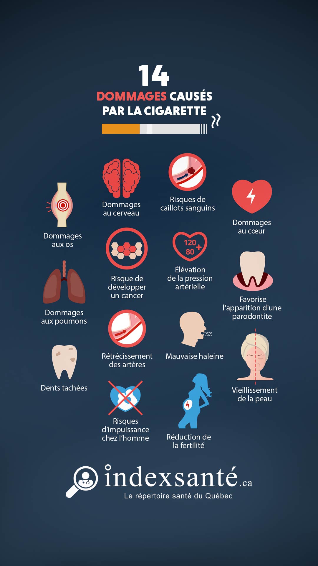 14 dommages causés par la cigarette (infographie)