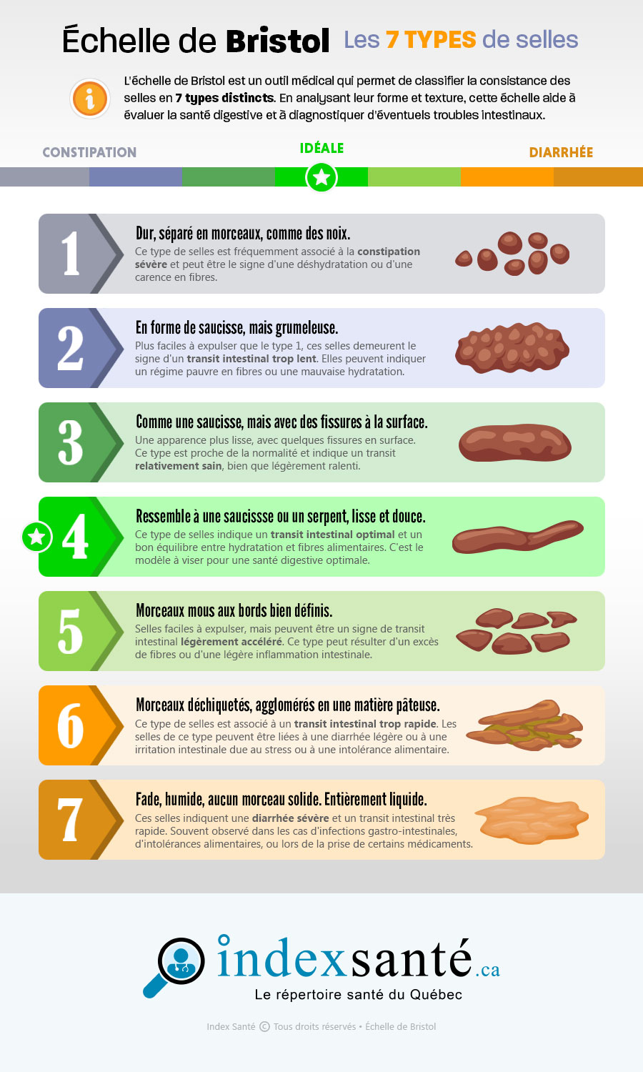 Échelle de Bristol (infographie)