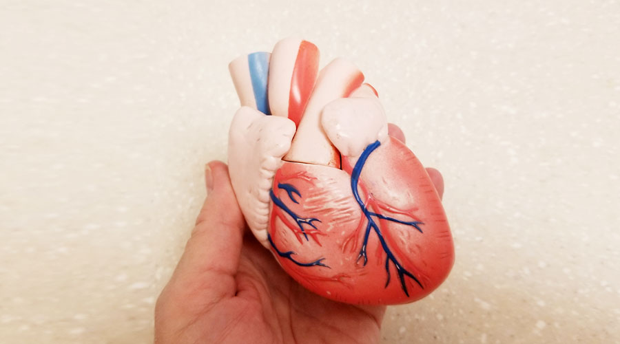Cardiologie