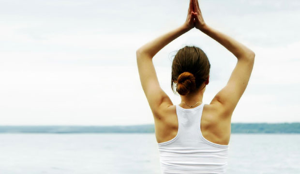 Centre chiropratique familial - Chemin Sainte-Foy