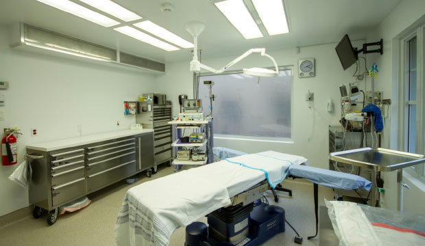 Dre Élise Bernier, centre de chirurgie et médecine esthétique