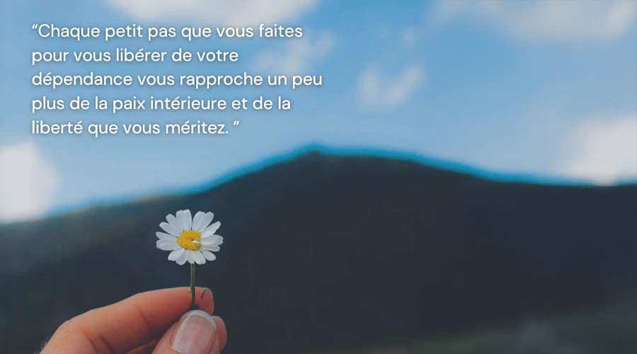 Clinique Synergilibre spécialisée - santé psychologique intégrative et dépendance