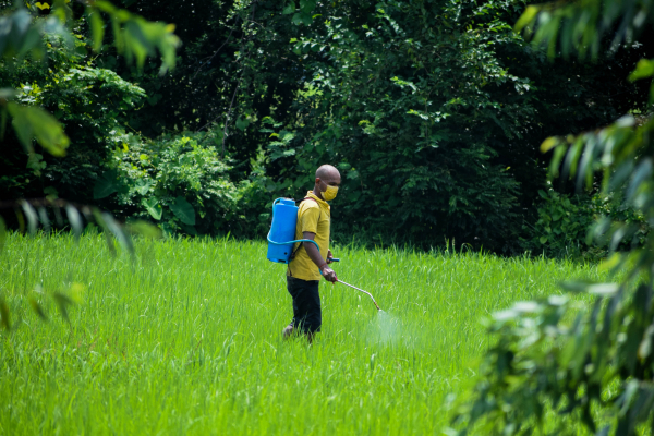 Attention aux pesticides! 