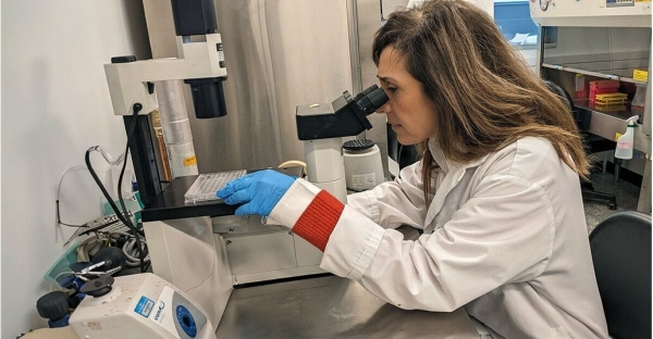Cancer du foie : une voie prometteuse vers des immunothérapies plus efficaces