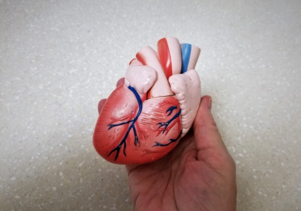 Transplant Québec annonce une année record en don d'organes pour 2023