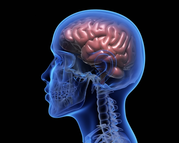Canada alloue 80 millions de dollars pour la recherche sur le cerveau