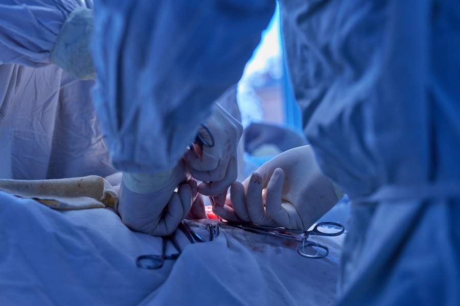 Une technologie révolutionnaire augmente l’accès aux greffes cardiaques au Québec