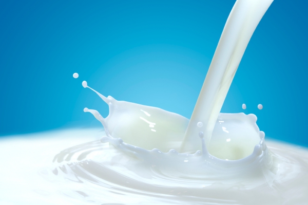 Boire du lait, est-ce que c'est encore nécessaire ?