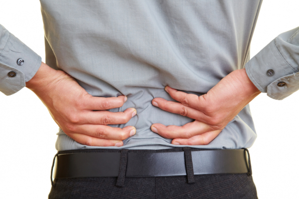 L'Ordre des chiropraticiens du Québec franchit un pas de plus vers la modernisation de la Loi sur la chiropratique