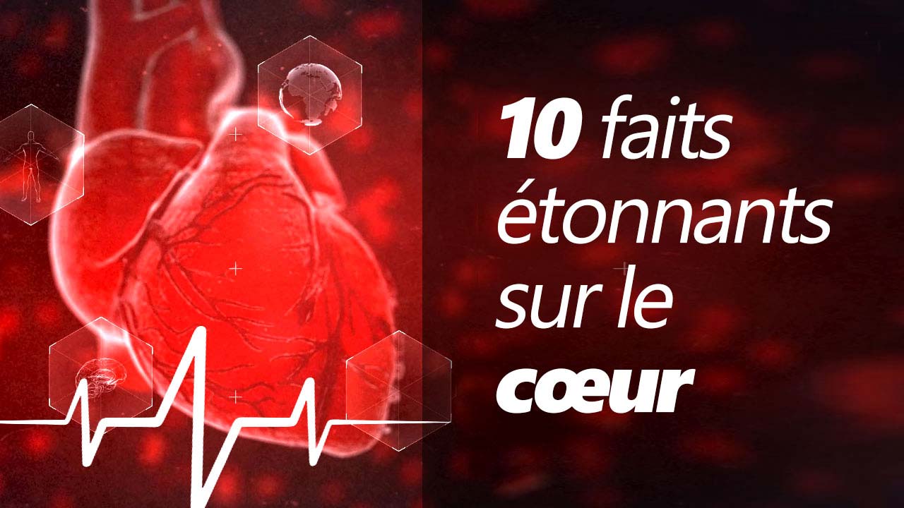 10 faits étonnants sur le cœur