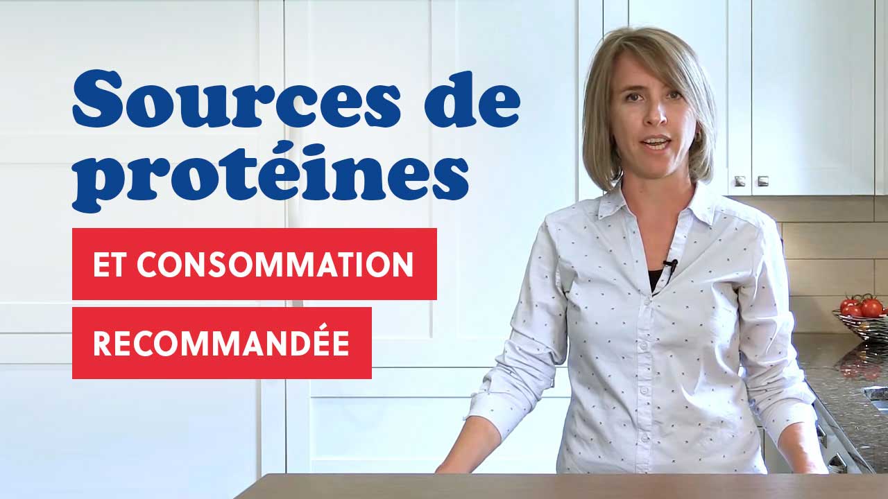 Protéines : sources de protéines et consommation recommandée